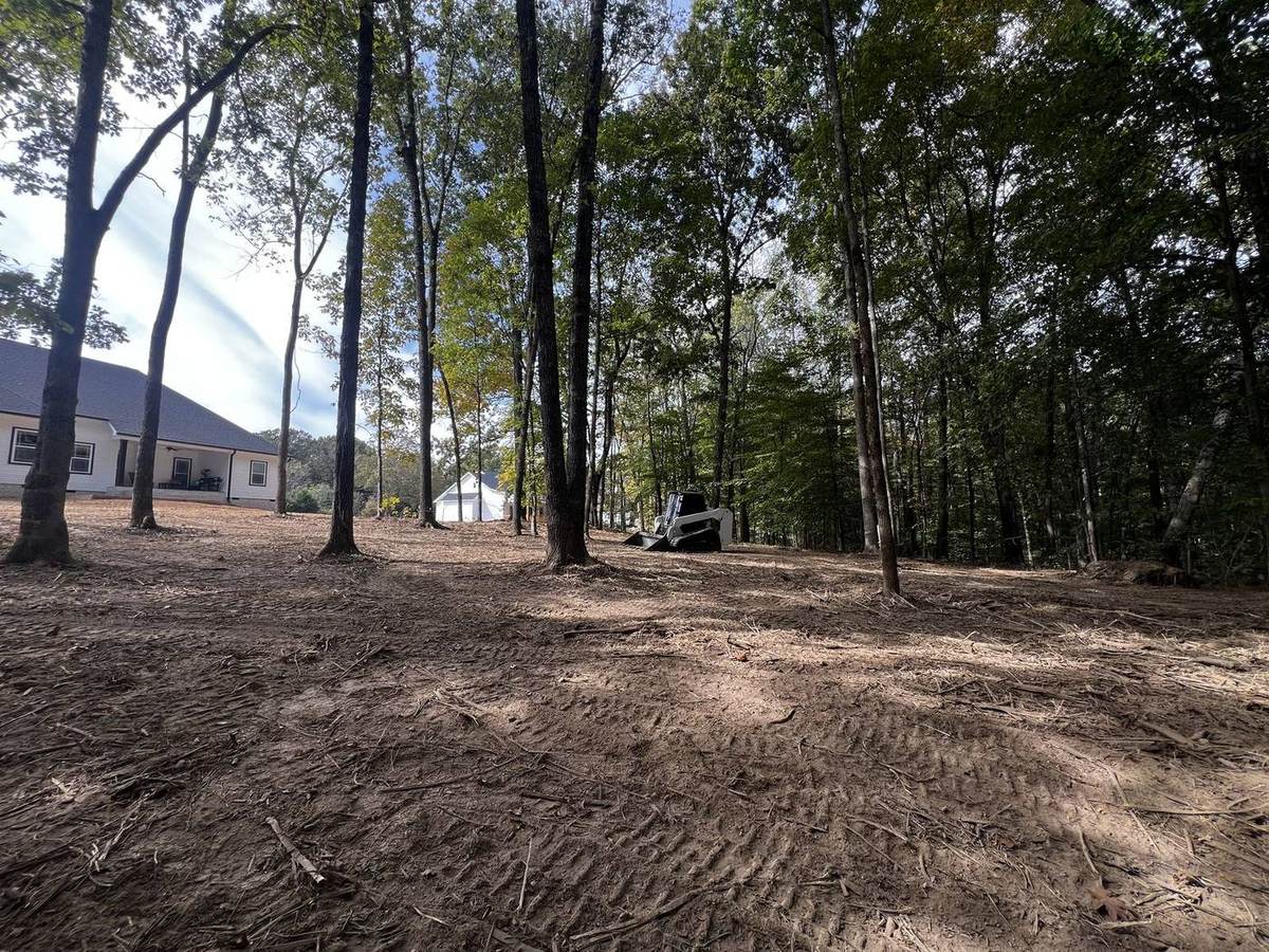 Freshly cleared and graded wooded lot ready for construction