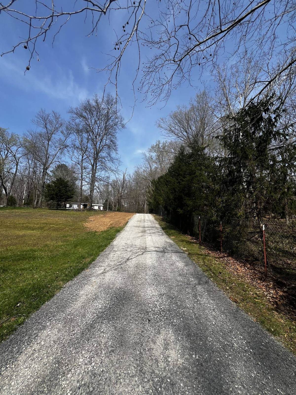 Tree-lined country driveway maintained by Michael Way Acres
